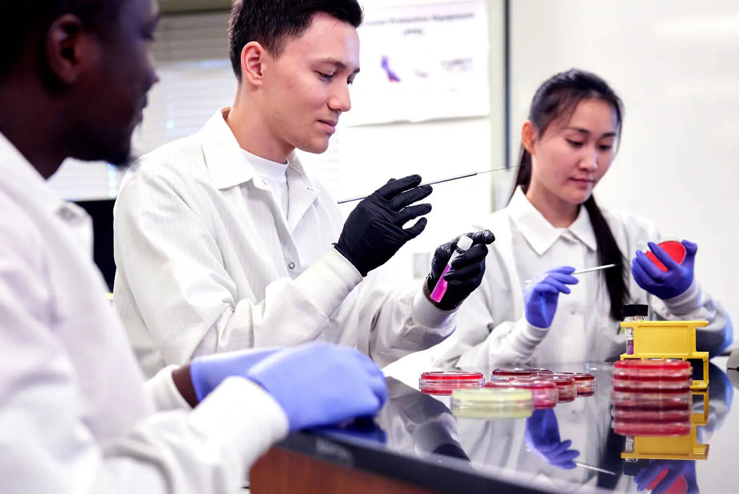 Students learning about medical lab training.