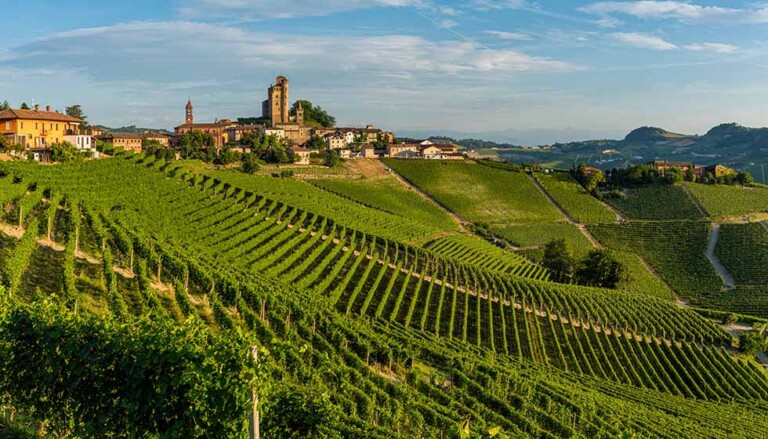 A panoramic view of rolling vineyard hills in the Italian countryside, with neat rows of grapevines leading up to a historic hilltop village and stone tower under a bright sky.