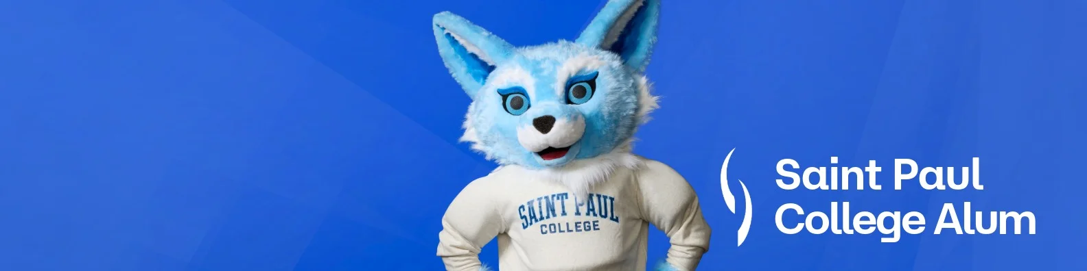 saint paul college banner with sky