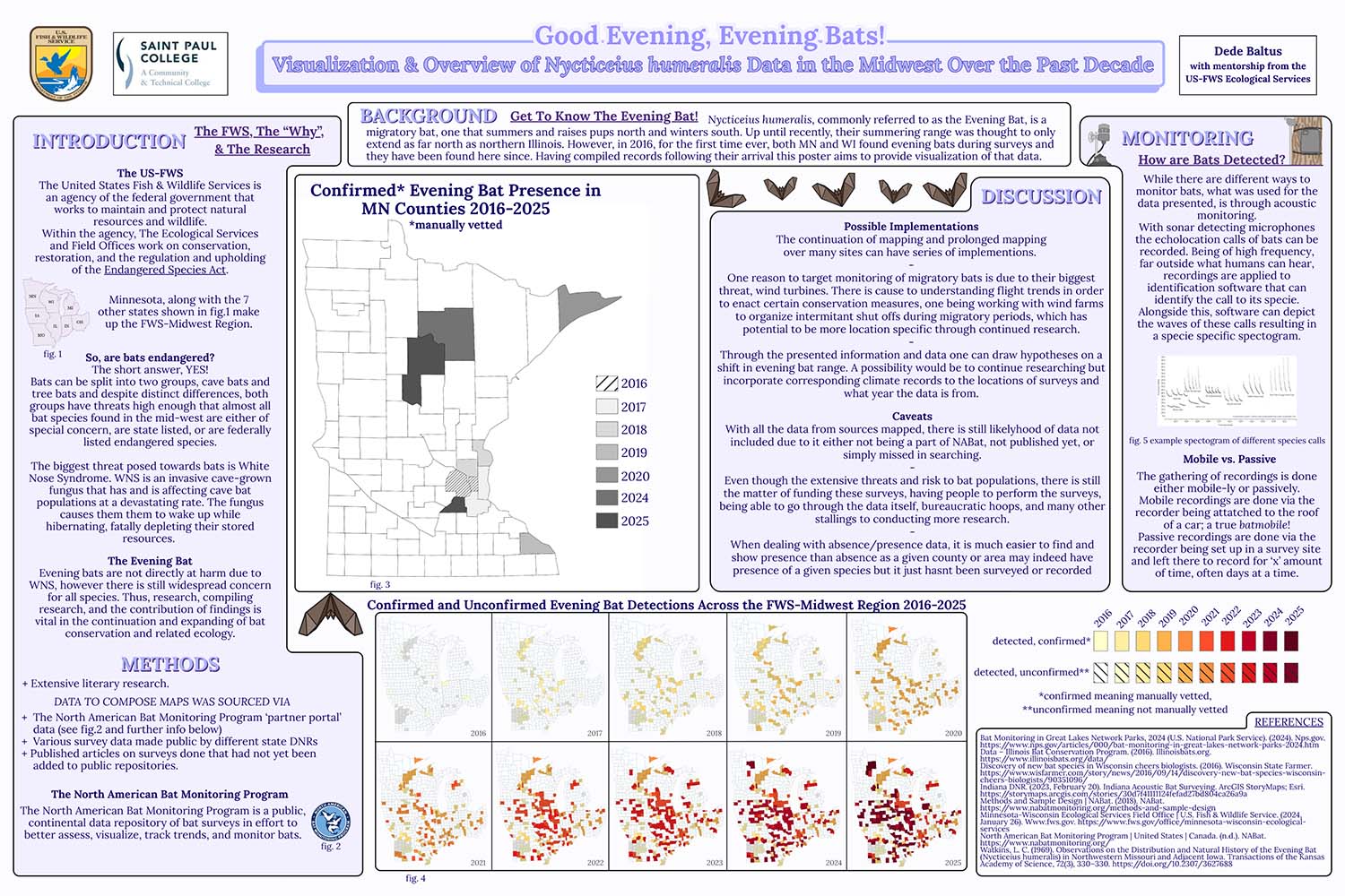 Research poster titled “Good Evening, Evening Bats!” showing maps and data visualizations of Nycticeius humeralis (evening bat) detections across the Midwest from 2016–2025, with sections on introduction, methods, monitoring, background, and discussion explaining bat conservation, acoustic detection methods, and range expansion into Minnesota and surrounding states.