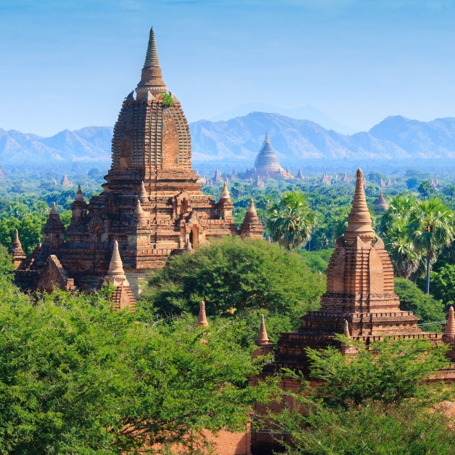 Top of the tree view of ancient temples peaking out through the vibrant leaves with a hazy mountain range in the background